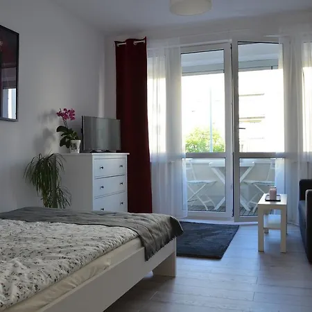 Apartament Baigo Star